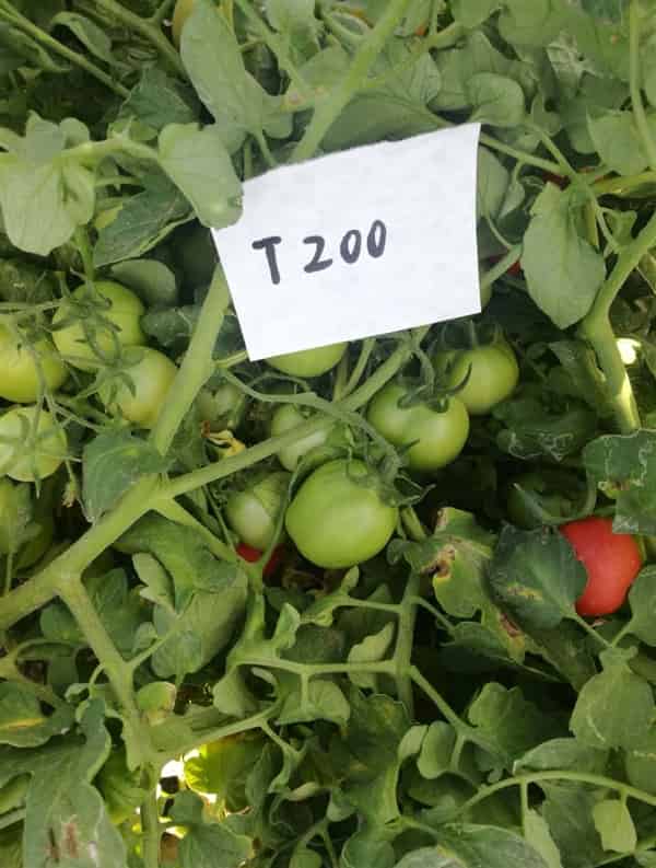 宜信农业T200